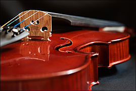 fiol eller violin